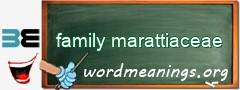 WordMeaning blackboard for family marattiaceae